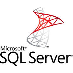 Tampa FL MS SQL Server Database Developer